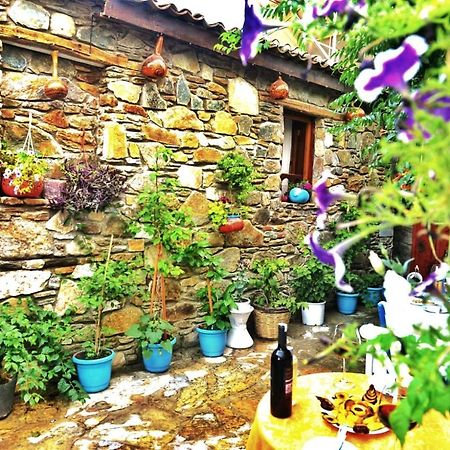 Sirincem Pension Selçuk Ngoại thất bức ảnh